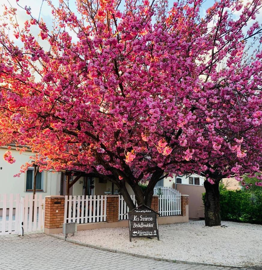 Kis Szarcsa Vendeghaz Hotel Gardony Exterior photo