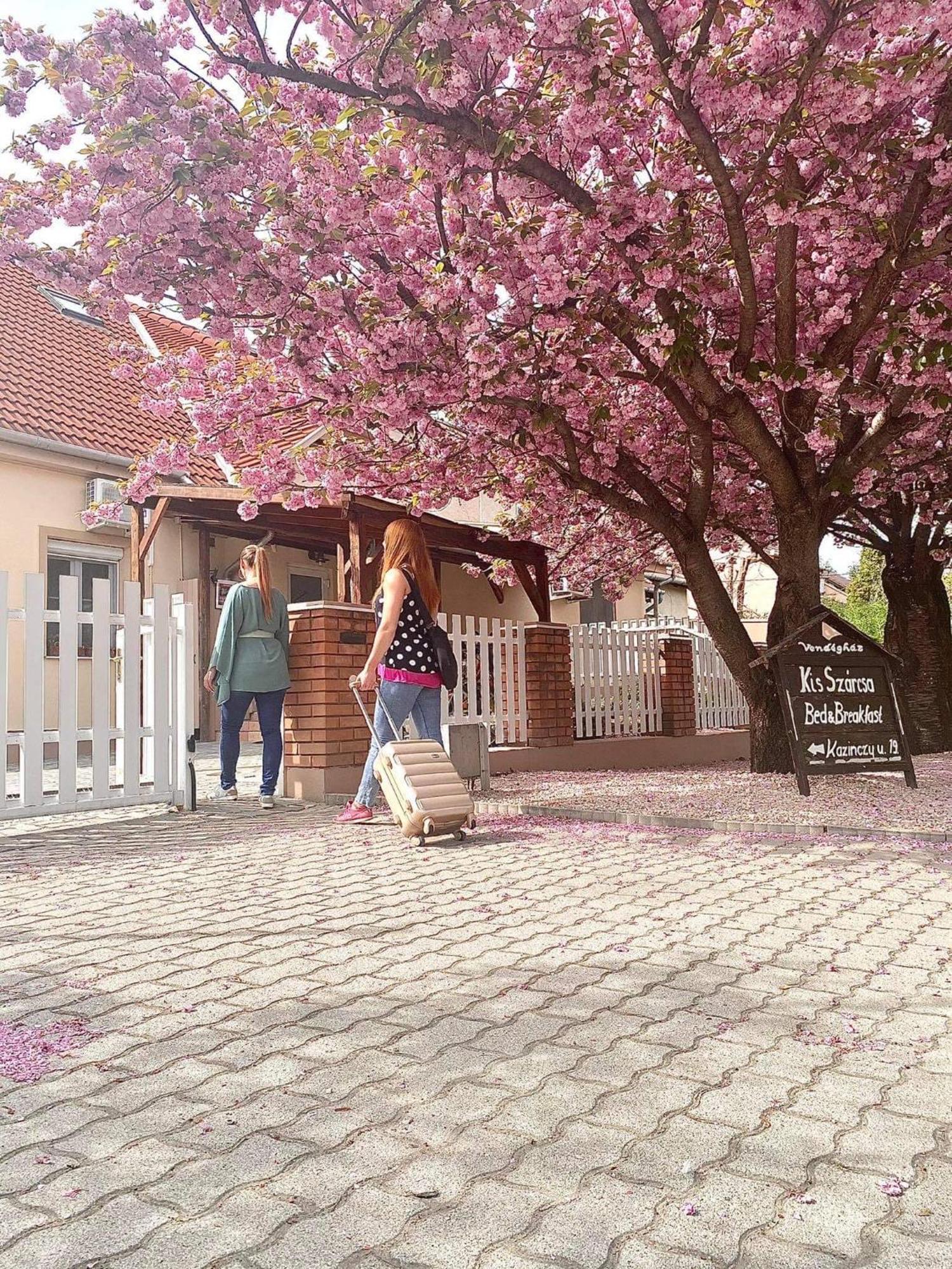 Kis Szarcsa Vendeghaz Hotel Gardony Exterior photo